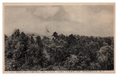 Yama Farm Nestled Among The Kiefern Napanoch New York Postkarte