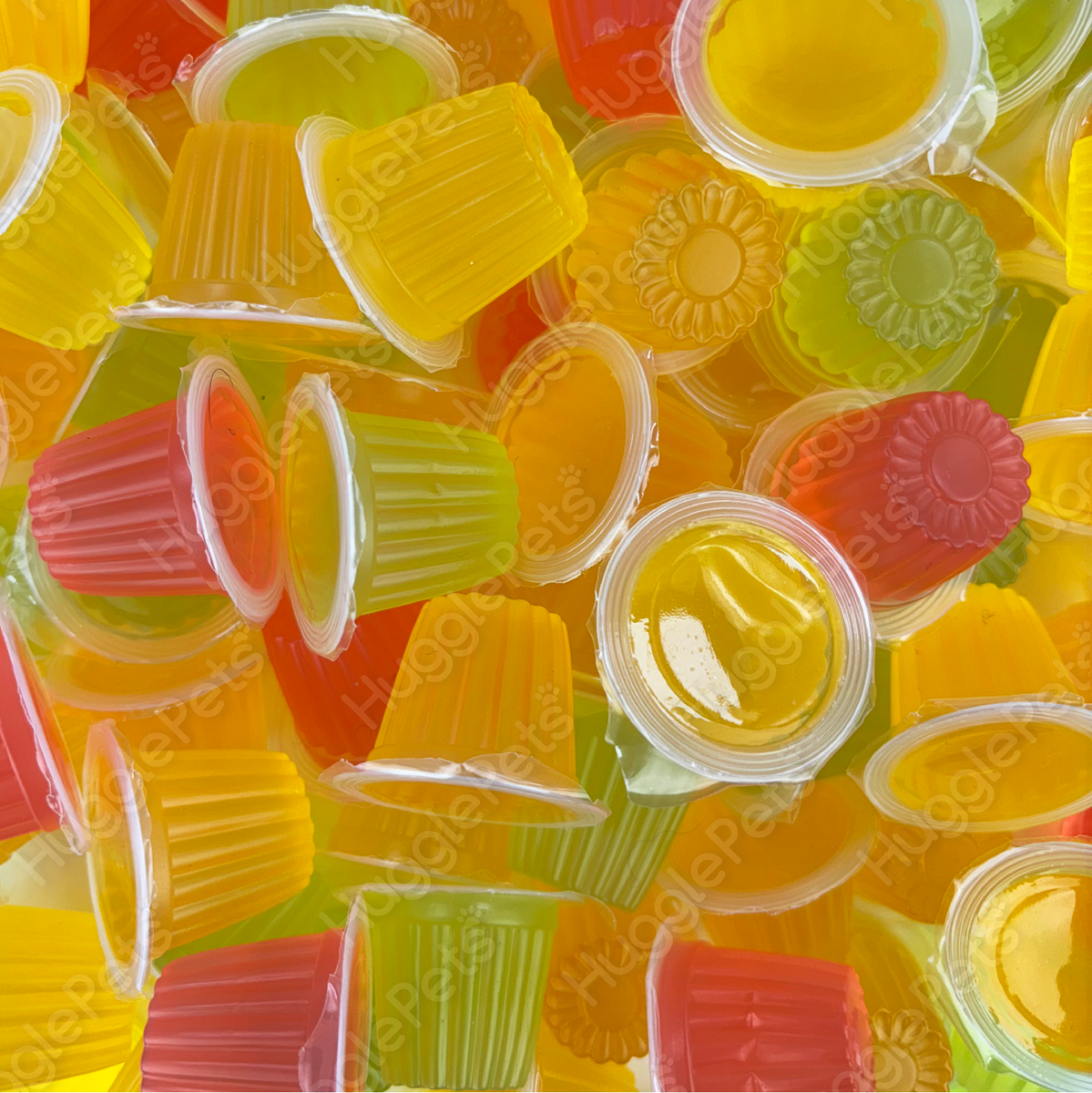 10 x Fruit Jelly Pots Reptile Treat Mix Gecko Bearded Dragon Birds
