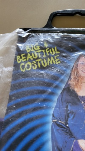 Lady Juliet Halloween Costume - Picture 2 of 5