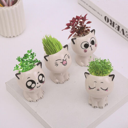 Ceramic Cat Succulents Flower Pot Mini Animal Planter Bonsai Cactus Plant Pots