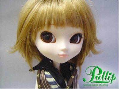 Pullip Rovam F-544 Jun planning.co new article unopened about31cm
