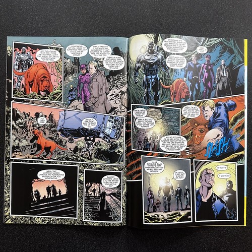 Animal Man #15 • Feb 2013 • Black Orchid • Steel • Jeff Lemire & Steve Pugh • NM - Bild 8 von 11