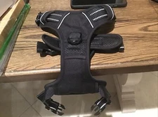 Rabbitgoo dog harness M