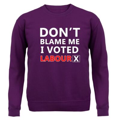 Don't Blame Me I Voted Labour - Adult Hoodie / Sweater - Keir PM Starmer Prime