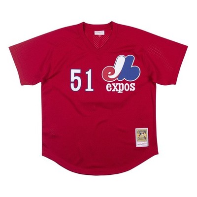 Mitchell & Ness Montreal Expos #51 Baseball Jersey New Mens Sizes $100