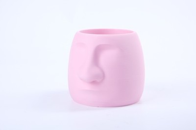Nosey Buddy Vase - Cute Abstract Face Decor, modern