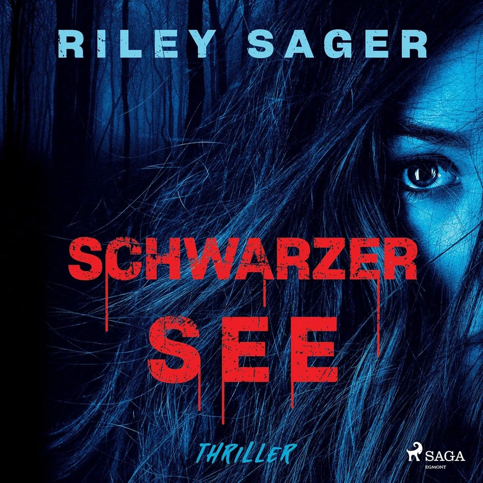 CD Riley Sager Schwarzer See mp3 Hörbuch (K243) ORIGINAL VERSIEGELT