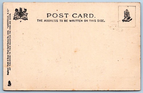 1903 ASHEVILLE NORTH CAROLINA NC SWANNOA RIVER TUCK'S ANTIQUE POSTCARD - Picture 2 of 2