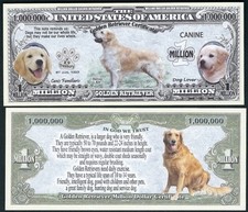 Golden Retriever Dog Certificate Million Dollar Bill Funny Money + FREE SLEEVE