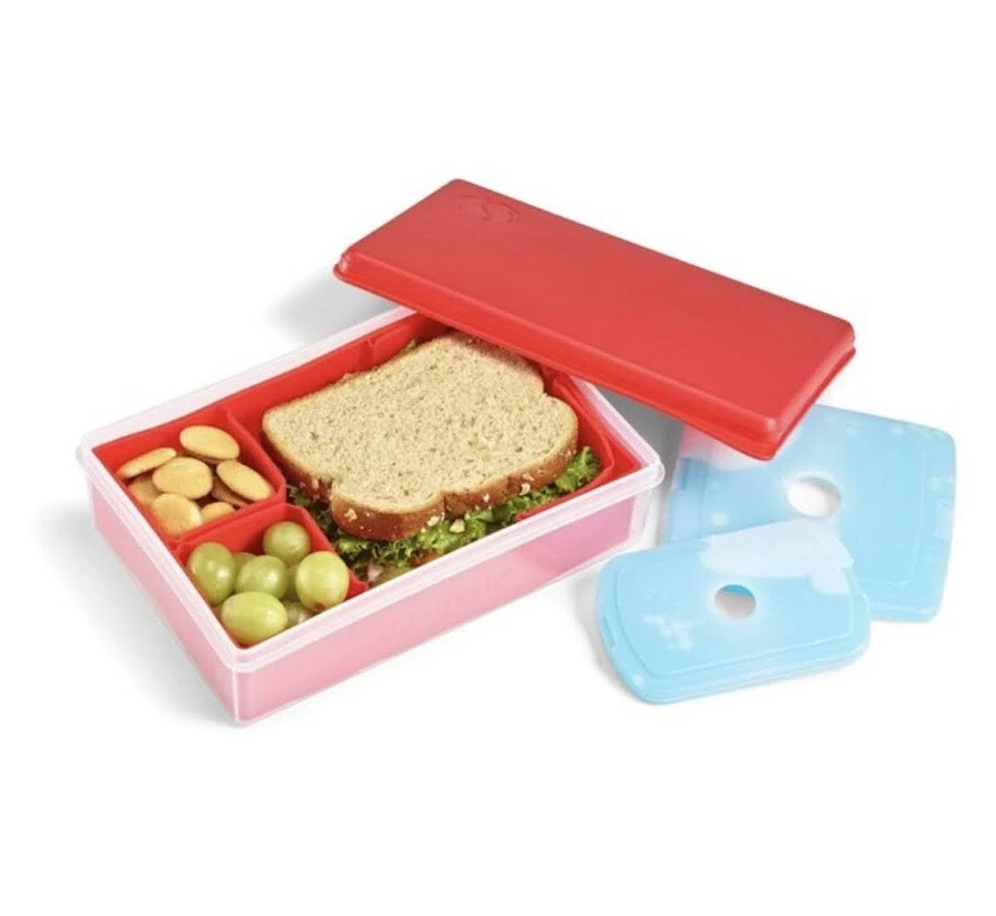 Fit and Fresh Multi-Flex Bento Lunch Box with 2 Ice Packs Meal