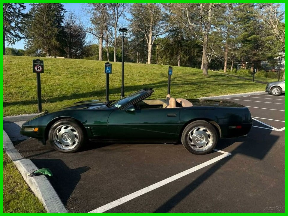 1995 Chevrolet Corvette for sale in Millbrook New York