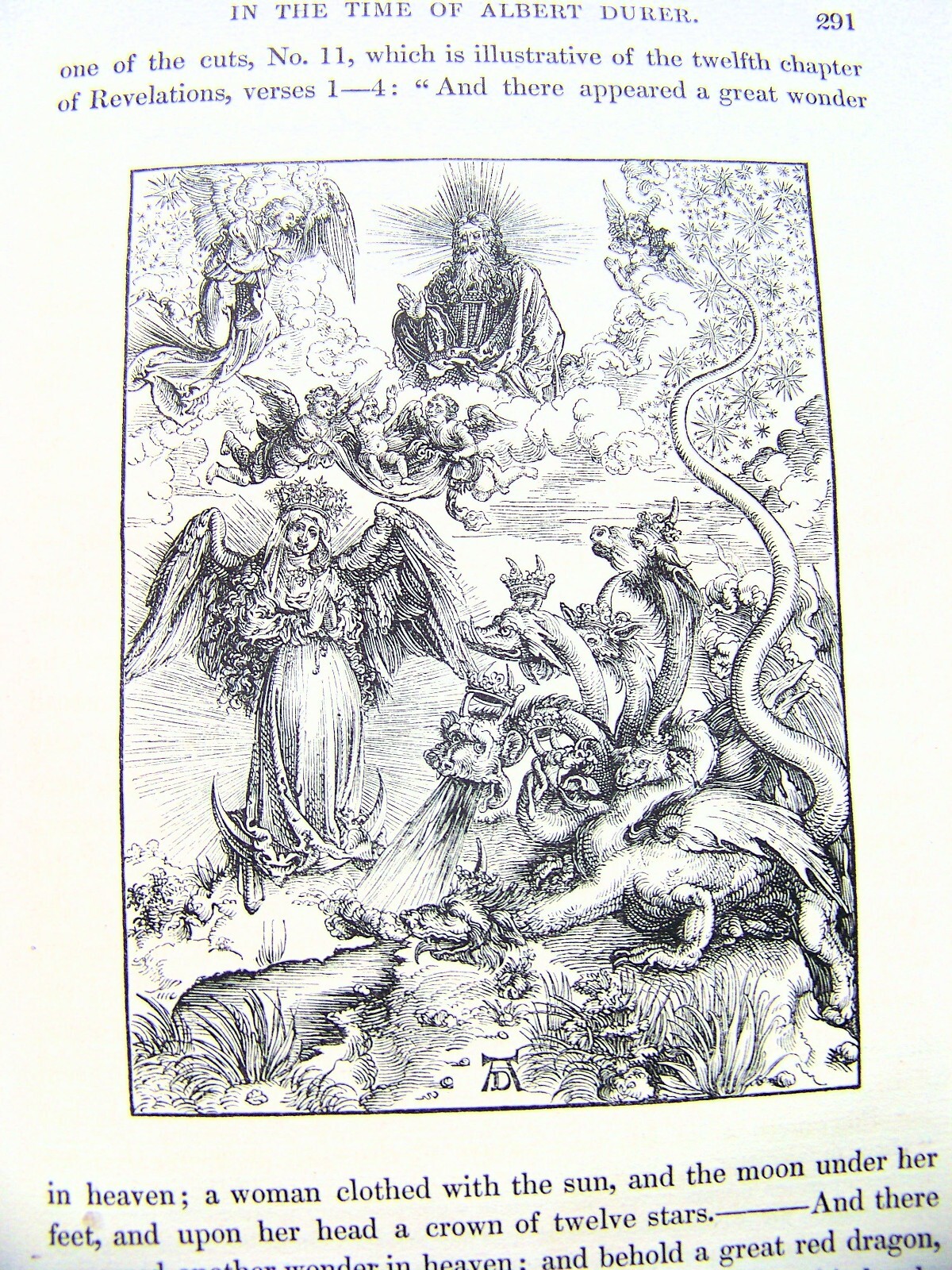 Picture 6 of 11