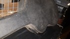 Bild 9 von 12