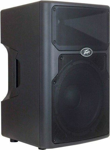 Peavey Delta Blues 115 2) Peavey PV 15M Pro Passive 15