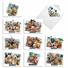 10 Assorted All Occasion Blank Note Cards Pack - Note To Selfie