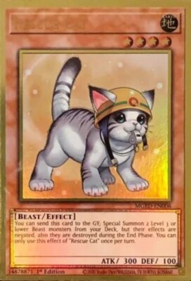 Rescue Cat (Alternate Art) - MGED-EN006 - Premium Gold Rare - 1st Edition x1 - N