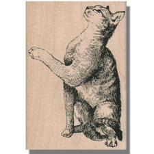 Rubber Stamp, Sitting Cat, Kitten, Kitty, Cat Stamp, Looking Up,Pet,Cat Gift,Paw