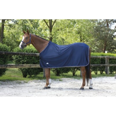 Hyper Performance Trockenhemd für Pferd - EQUITHEME ''Microfleece''