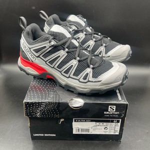 salomon silver