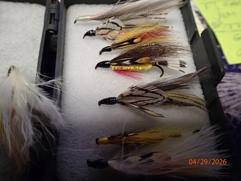 12 Fresh water flies with case
