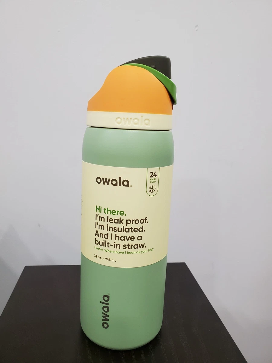 Owala FreeSip Stainless Steel Water Bottle, 32oz Gray 