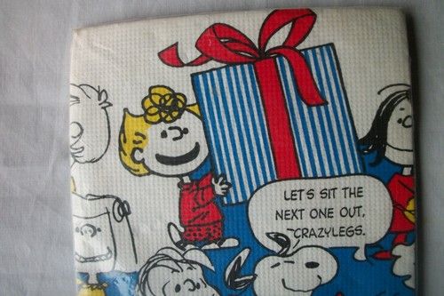 Hallmark Paper Tablecloth Peanuts Snoopy Charlie Brown Border Design - Picture 3 of 8