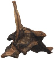 Aquarium Dekoration Amtra Mystic Wood 15-20 Cm Naturholz HolzstüCk