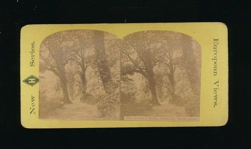 Stereoview Neu H Serie Lover's Walk Matlock Derbyshire Europäische Ansichten swsw6