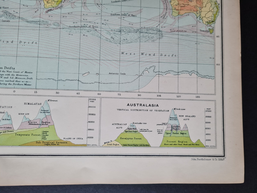 Mapa antiguo (1912) - El mundo - Vegetación - Bartolomé - Imagen 4 de 10