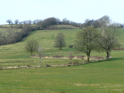 Photo 6x4 Carmarthenshire pasture near Ffaldybrenin About three miles sou c2009