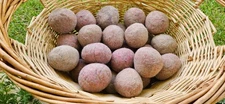 *NEW* Handmade Alpaca Dryer Balls (Set of 3)-USA Grown & Made - Light Fawn_Pink