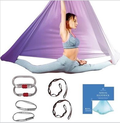 Aerial Silk Yoga Hammock & Swing for Home Inversion Exercises Starter Kit for