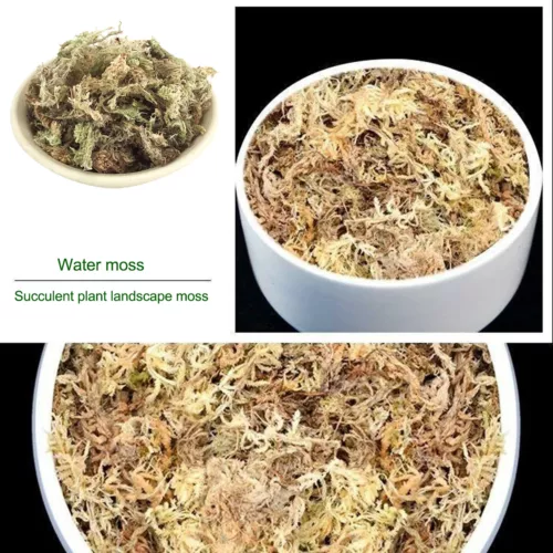 6/12L Dried Sphagnum Moss Potted Plant Organic Nutrition Fertilizer Moisturizing - Bild 9 von 17