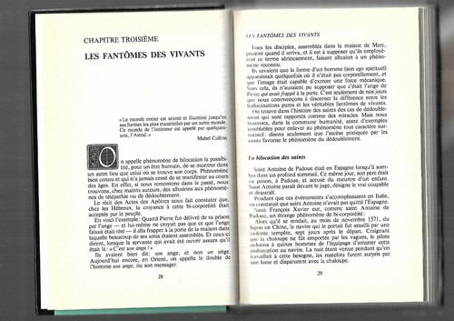 Apparitions fantômes et dédoublements D Hemmert A Roudene Frontière de l'Etrange - Bild 6 von 12
