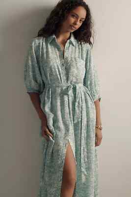 maeve linen shirt dress Maeve + Linen Shirt Dress