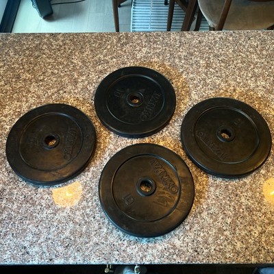 Ivanko 10 lbs Rubber Encased Steel Weight Plates, Set of 4