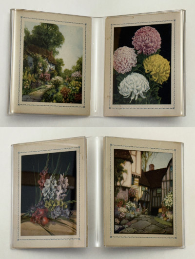 4 VTG SERENE Picturesque Fold-over Note Cards set blank inside in Acrylic Frame