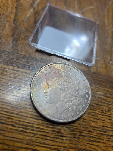 Toned Color 1886 $1 VF Morgan Dollar One Of A Kind Beauty 4