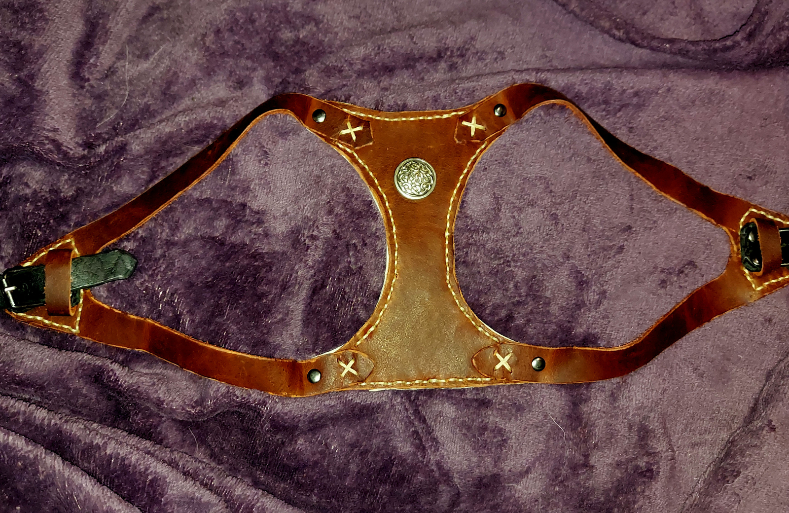 Small dog harness eBay