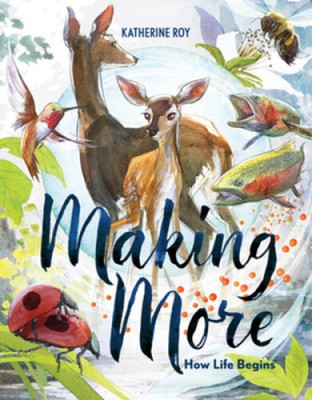 Making More: How Life Begins by Katherine Roy [Hardback]