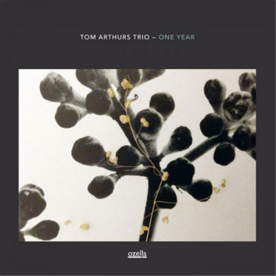 Tom Arthur's Trio One Year (CD) Album (UK IMPORT)