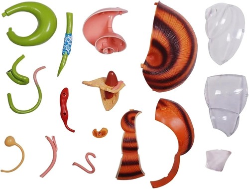 Modelo de Anatomía de Caracoles Visión 4D, Modelo Esqueleto, 32 Cuerpos y Piezas Desmontables - Imagen 3 de 7