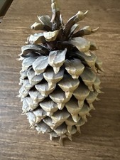 Grande coutre cône de pin 9 pouces 2 livres décorations artisanales