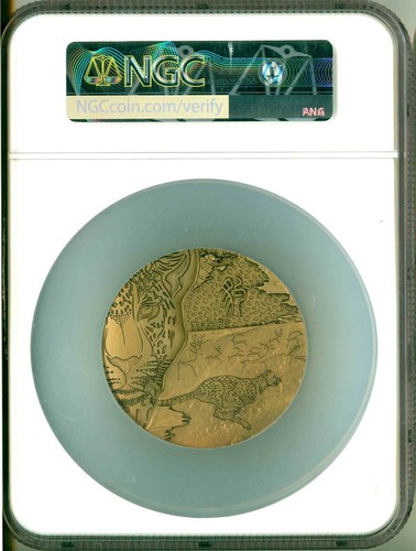 2019 China Huge Brass Medal 60mm The Leopard Totemism NGC MS70 Antiqued OGP - Picture 2 of 6