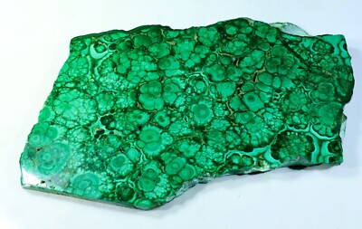 1010 CT NATURAL FLOWER PLUME MALACHITE POLISH SLAB TILE UNTREATED GEMSTONE MJ-04