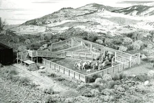 Campbell Scale Models 437 HO Scale Stock Pens W/Double Chute Kit