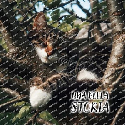 Una Bella Storia: Una bellissima storia realmente accaduta, un avvenimento che s