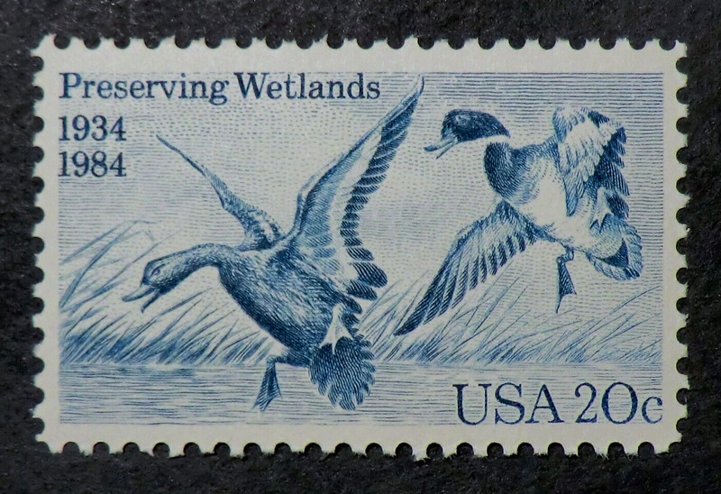 2092 MNH 1984 20c Waterfowl Preservation duck hunting habitat birds ducks dogs