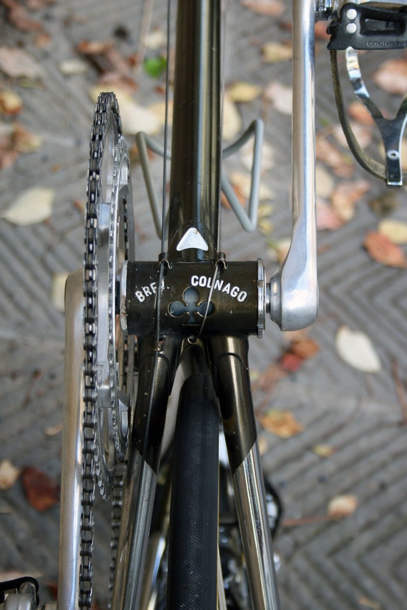 colnago arabesque 30th anniversary campagnolo record gold bike