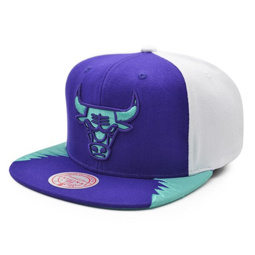 AIR JORDAN DAY 5 Snapback Hat 